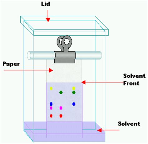 how to read chromatography